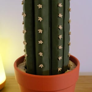 Juego de ajedrez de cactus / Juego único impreso en 3D con maceta de almacenamiento