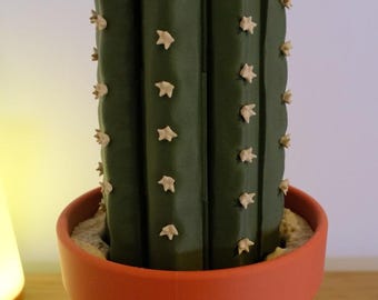 Juego de ajedrez de cactus / Juego único impreso en 3D con maceta de almacenamiento
