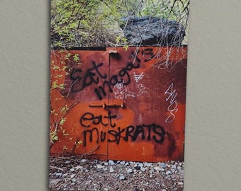 8x12 Anti-MAGA Graffiti image for Instant Download