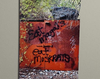 8x12 Professional High-Definition Metal Print of Anti-MAGA Graffiti