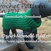 Immediate Download - PDF Crochet Pattern for the Green St. Paddy's Day Dog Sweater - Skill level easy
