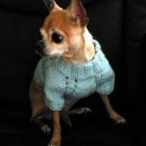 Digital Download PDF Knitting Pattern 5-needle Top Down Short Sleeve Dog Sweater image 1