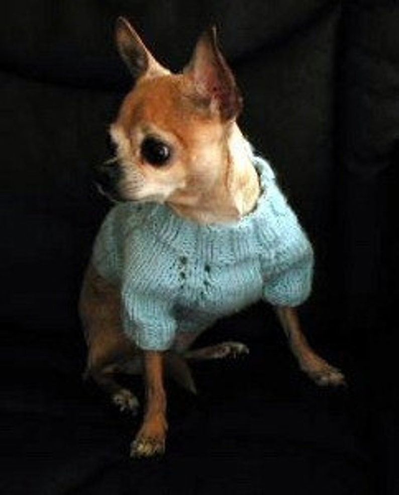 Digital Download PDF Knitting Pattern 5-needle Top Down Short Sleeve Dog Sweater image 1