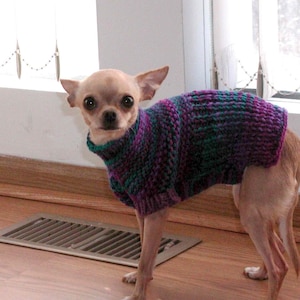 Può includere: Un piccolo chihuahua marrone chiaro con un maglione di lana viola e turchese. Il cane è in piedi su un pavimento di legno con una griglia di ventilazione sullo sfondo.