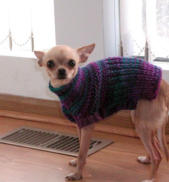 Garter stitch top dog coat