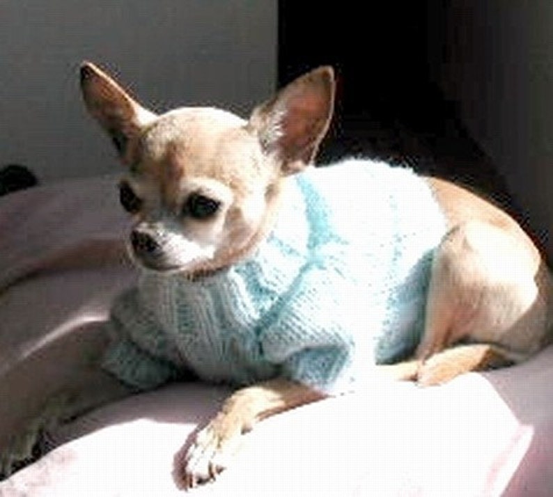 Digital Download PDF Knitting Pattern 5-needle Top Down Short Sleeve Dog Sweater image 3
