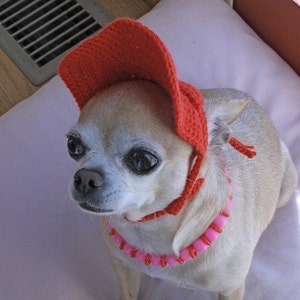 Op de afbeelding: Een kleine, lichtbruine chihuahua met een rode gebreide muts met een rand en een roze kralenketting.