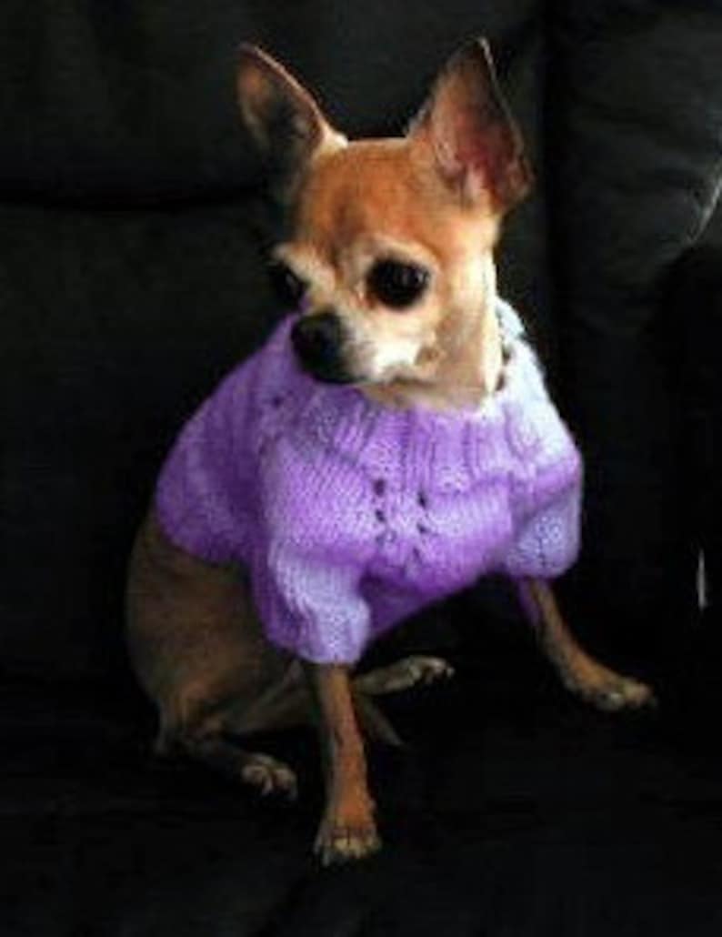 Digital Download PDF Knitting Pattern 5-needle Top Down Short Sleeve Dog Sweater image 2