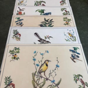 Fritz Hilton Bird Print Laminated Placemats