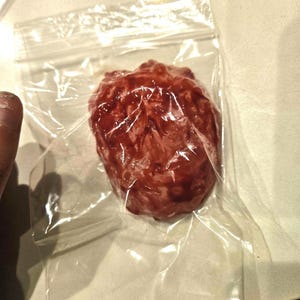 May include: A red, irregularly shaped object is sealed inside a clear plastic bag. The object appears to be a food item, possibly meat or a similar product. The bag is transparent, allowing the contents to be fully visible.