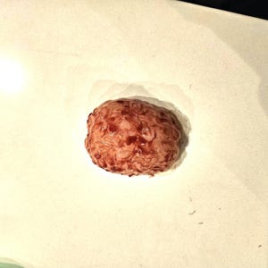 May include: A realistic, reddish-brown brain prop with detailed surface texture. The brain is positioned on a white surface, showcasing its intricate folds and overall shape. This prop is likely used for Halloween or medical-themed displays.
