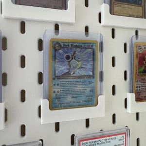 Pu&ograve; includere: Un pannello perforato bianco con varie carte da gioco Pok&eacute;mon esposte in buste di plastica trasparenti. Le carte sono organizzate in file e colonne, con ogni carta fissata in un supporto di plastica bianco. Le carte presentano diversi personaggi Pok&eacute;mon, tra cui Dark Blastoise, Lt. Surge's Magneton e Dragon.