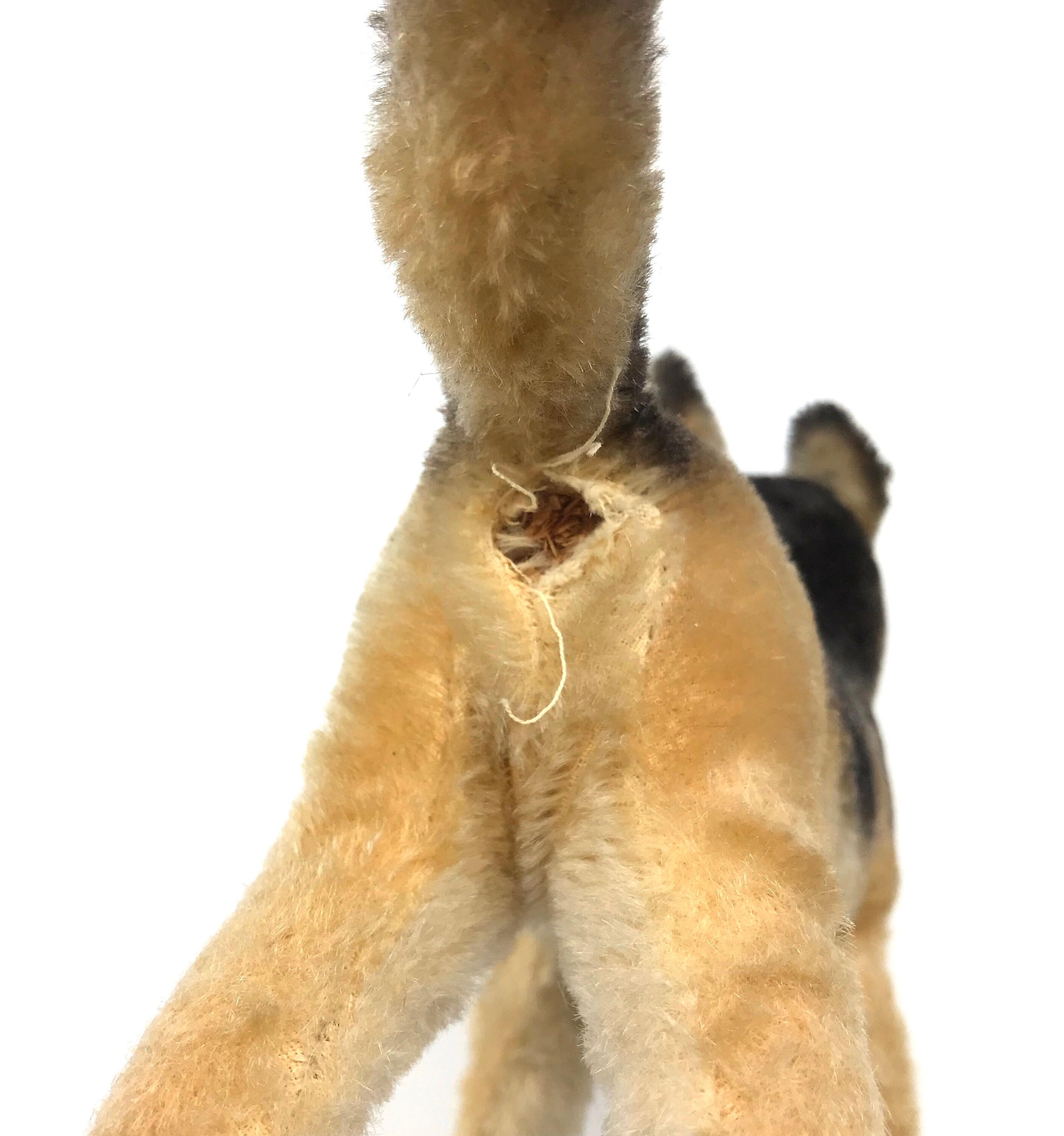 Steiff Arco German Shepherd Dog Standing 1950s ID Button and Steiff Arco German Shepherd Dog Standing 1950s ID Button and