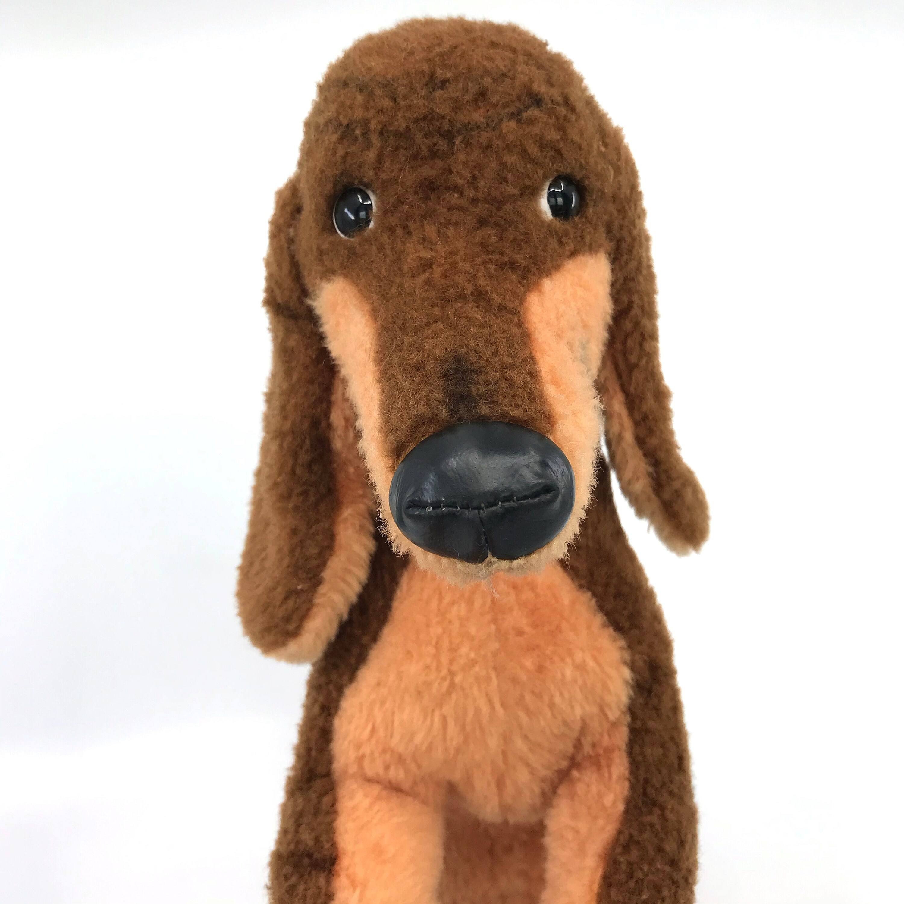 シュタイフ ドイツ ワルディ ダックスフント 犬 座っている ドラロン