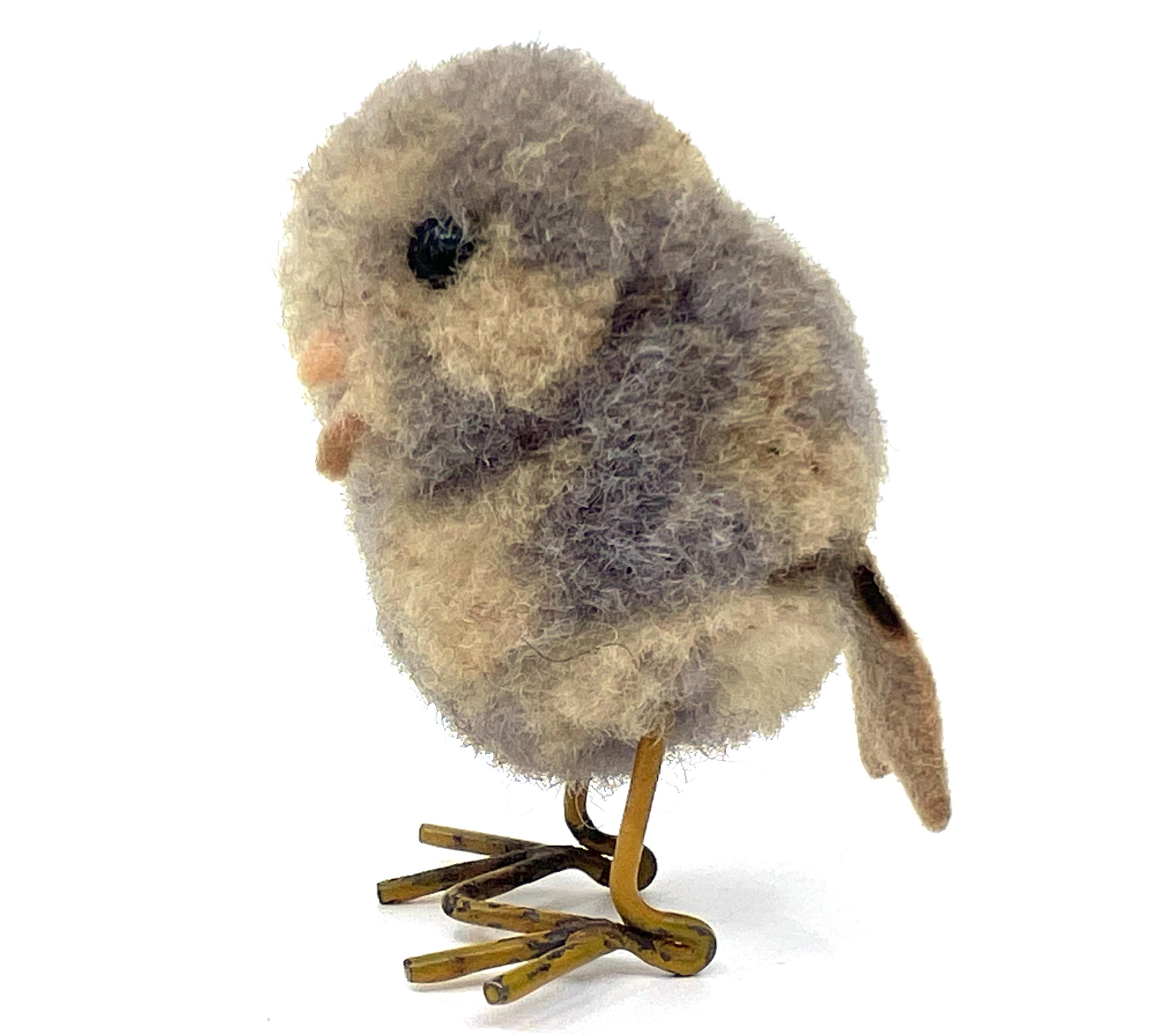 シュタイフ★Woolen Parrot ＆ Bird★ぽんぽんオウム & バード シュタイフ☆Woolen Pigeon オールID's完品☆ぽんぽん鳩