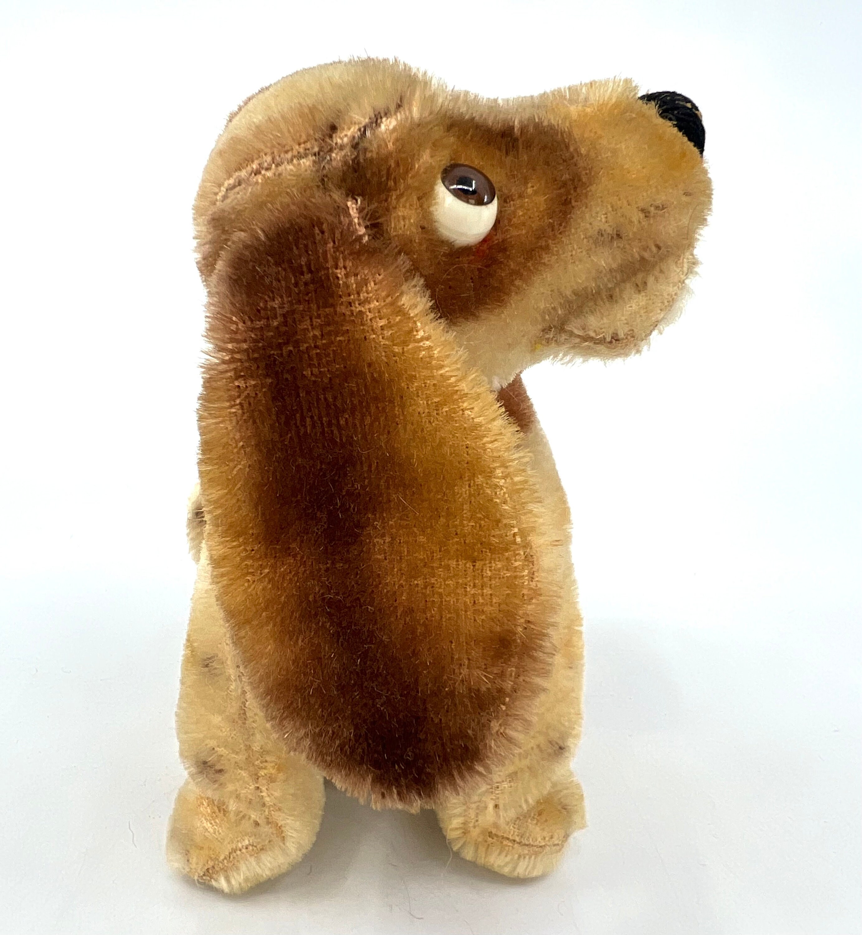 Steiff Basset Hound Dog 1961 to 1962 Mohair Plush 14cm 5.5 Inches