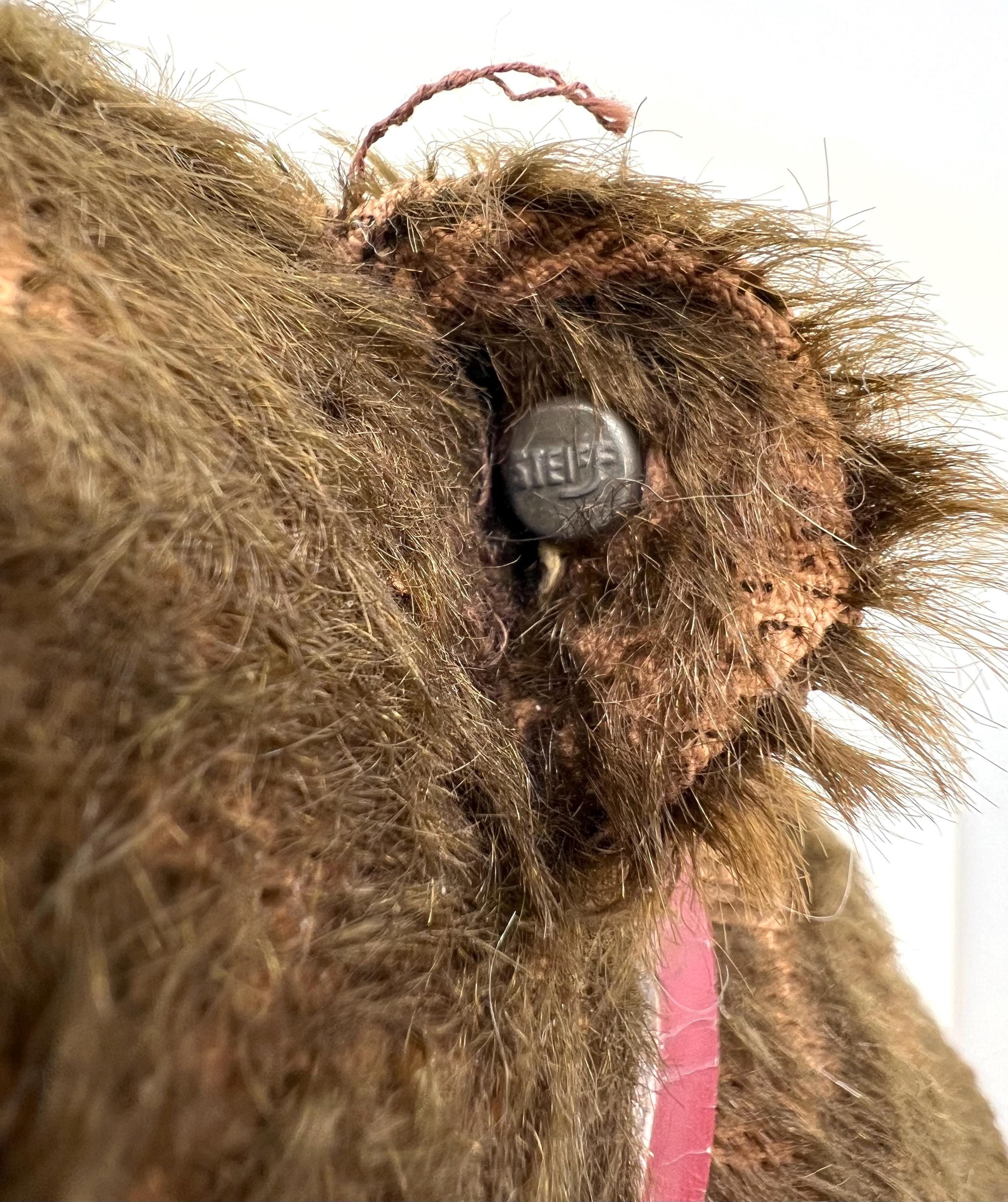 シュタイフ ベア オン ホイールズ 1930 年代 ロング F ID ボタン