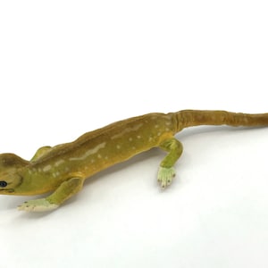 May include: A plush toy lizard with a green and brown body and a spotted pattern. The lizard has a long tail and small legs.