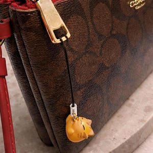 May include: Brown Coach wallet with a red interior and gold zipper. The wallet features a repeating pattern and a small, yellow cat charm hanging from the zipper. The Coach logo is visible in gold lettering.