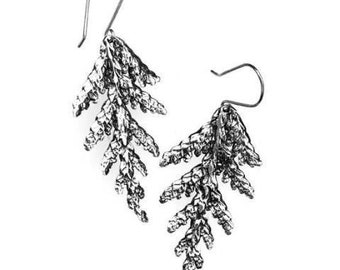 Cedar Earrings