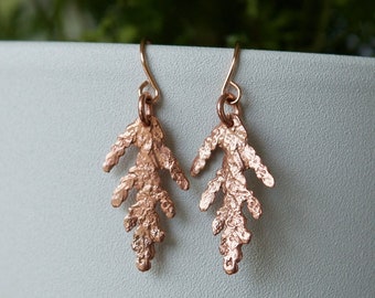 Tiny Cedar Earrings In Rose Gold