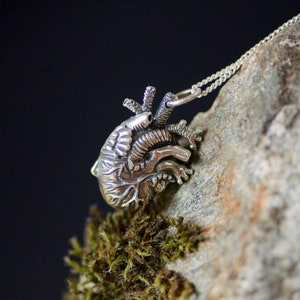 Minuscule pendentif anatomique du cœur image 1