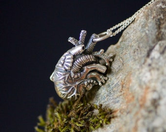 Anatomical Heart Pendant in Silver