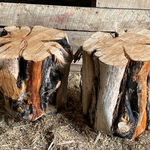 Puede incluir: Dos tocones de madera rústicos con corteza natural y veta de madera marrón claro. Los tocones están sobre un lecho de paja.