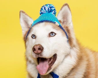 Crochet Pet Beanie Pattern, Pom Pom Dog Cat Hat (PDF)