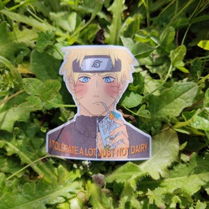 Vinyl stickers