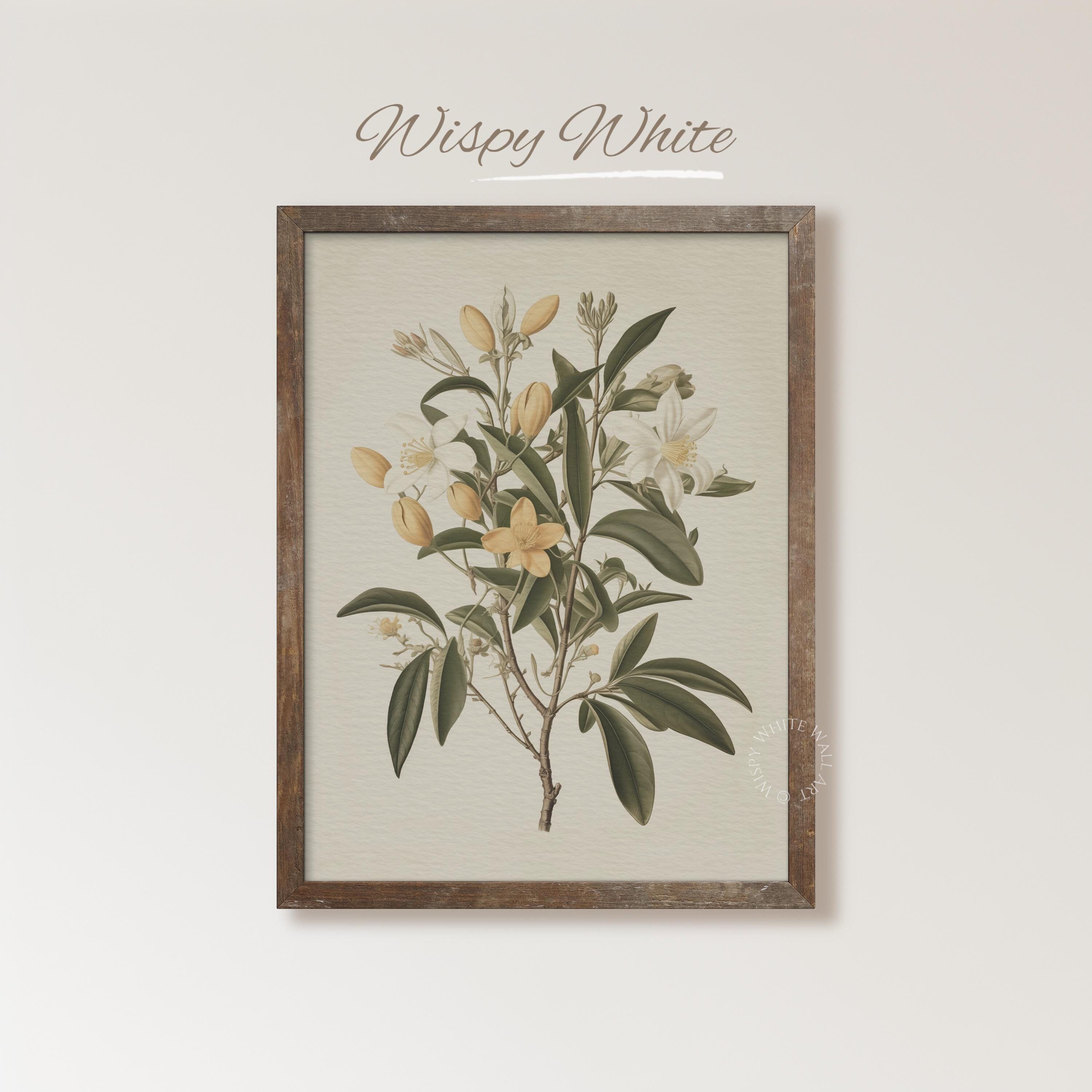 Vintage PRINTABLE Botanical Wildflower Print, Yellow Flowers Watercolor Painting Digital Download Wall Art, Farmhouse Decor, Floral Print