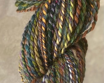 Handspun Wool Yarn: Trail Lessons, Wool, Alpaca Silk Blend, NC Photography Inspired