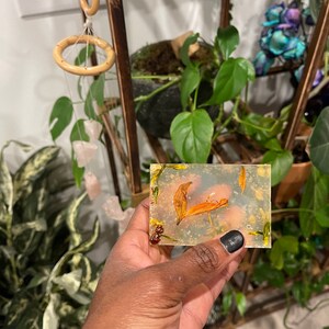 Turmeric Honey Ginger Body Bar