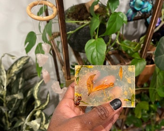 Turmeric Honey Ginger Body Bar