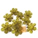 Dark Green Frosted Lucite 34mm Flower Beads, Set of 9, 1018-21