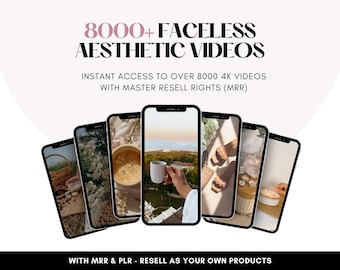 8000+ Aesthetic Video Reels Boss Babe Story Master Resell Rights MRR & Private Label Rights PLR DFY Instagram Templates Digital Marketer