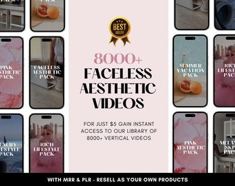 8000+ Aesthetic Video Reels Boss Babe Story Master Resell Rights MRR & Private Label Rights PLR DFY Instagram Templates Digital Marketer