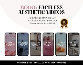 8000+ Aesthetic Video Reels Boss Babe Story Master Resell Rights MRR & Private Label Rights PLR DFY Instagram Templates Digital Marketer