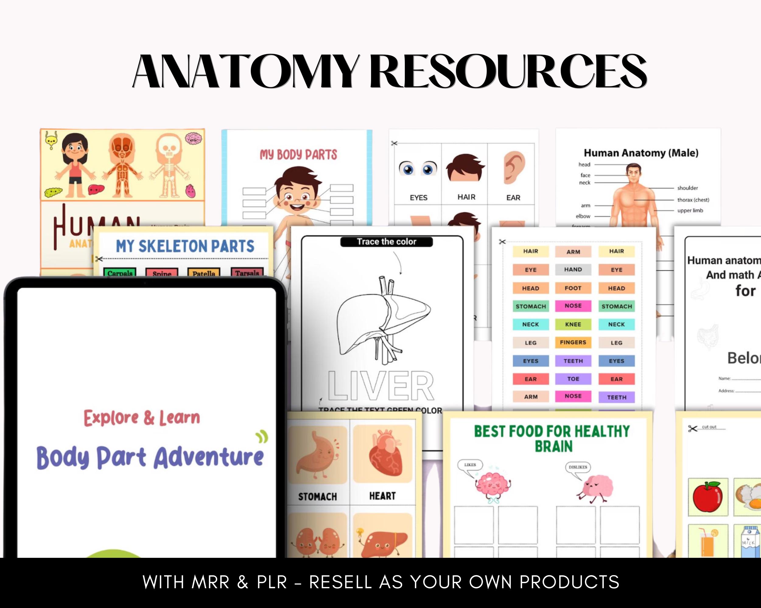 15000 Educational Kids Resources Bundle | Children's Learning Bundle ...