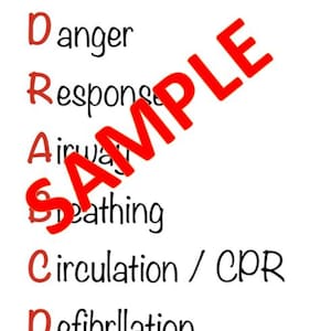Puede incluir: Fondo blanco con el texto "Primary Survey" en una pancarta morada. Debajo, las letras D, R, A, B, C y D están listadas, cada una representando un paso en el proceso de encuesta primaria. La palabra "SAMPLE" está escrita en rojo en la imagen.