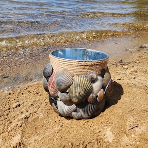 Seashell Planter, Seashell Pot, Planter, Pot, Scallop, Scallop Shell Pot, Special Occasion, Wedding, Beach, Beach Decor, Seashell, Vase