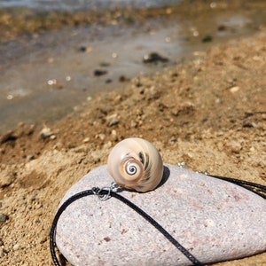 May include: A seashell pendant necklace with a spiral design. The pendant is a light tan color with dark brown and black markings. The necklace has a black cord and a silver-colored clasp. The necklace is resting on a gray stone.