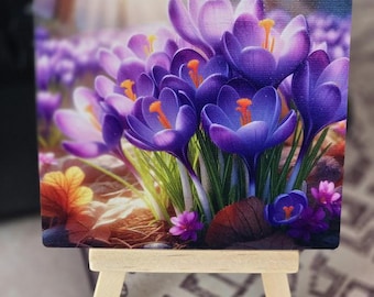 Imanes de madera con diseño de flores del bosque – Juego de 4 imanes con motivos florales