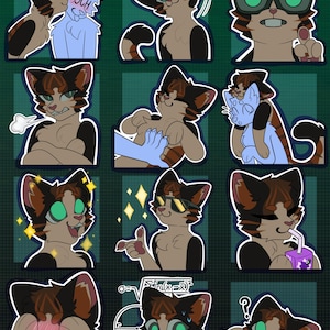 May include: A set of nine digital stickers featuring a cartoon cat with brown, black, and white fur. The cat is shown in various poses and expressions, including wearing sunglasses, drinking from a juice box, and blushing. The stickers are designed in a cartoon style with bright colors and bold outlines.