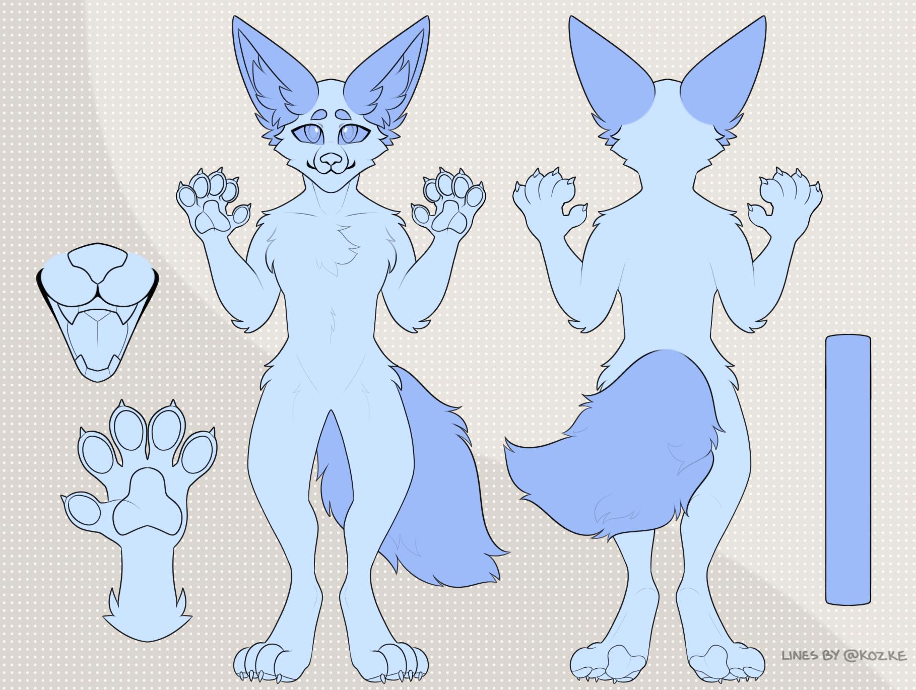 Furry Fennec Fox Reference Sheet Base 1 - Etsy