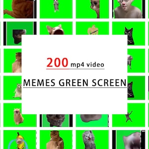 Puede incluir: Un collage de 200 vídeos mp4 de pantalla verde con memes de gatos, perros y otros animales divertidos. El texto "200 mp4 video MEMES GREEN SCREEN" se muestra en el centro de la imagen.