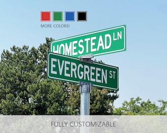 Custom Street Sign Double Sided, Outdoor Metal Street Sign, Post Mount Sign, Personalized Road Sign, Wedding Sign, Driveway Sign
