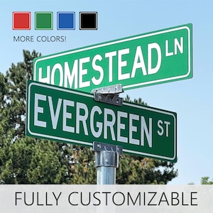 Personalized Street Sign, Custom Street Sign, Street Signs, Road Sign, Yard Sign, Personalized sign, Customized sign, Outdoor Sign, Metal