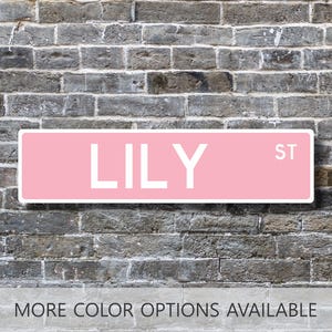 Lily, Lily Sign, Lily Gift, Custom Street Sign, Gift for Her, Dorm Room Decor, Girls Wall Art, Bedroom Decor, Metal Sign, Girl Gift