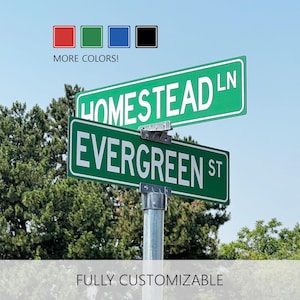 May include: Two green street signs mounted on a metal pole. The top sign reads HOMESTEAD LN and the bottom sign reads EVERGREEN ST in white lettering. Above the signs are four small colored squares in red, green, blue, and black with the text MORE COLORS!
